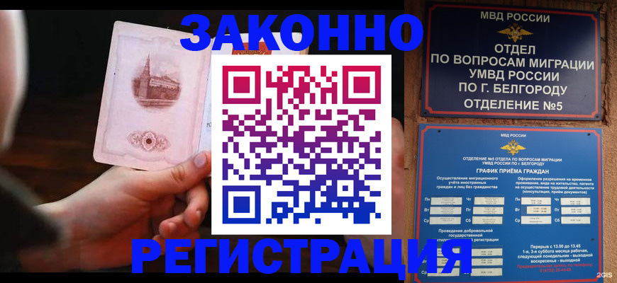 прописка 2025 в Купино